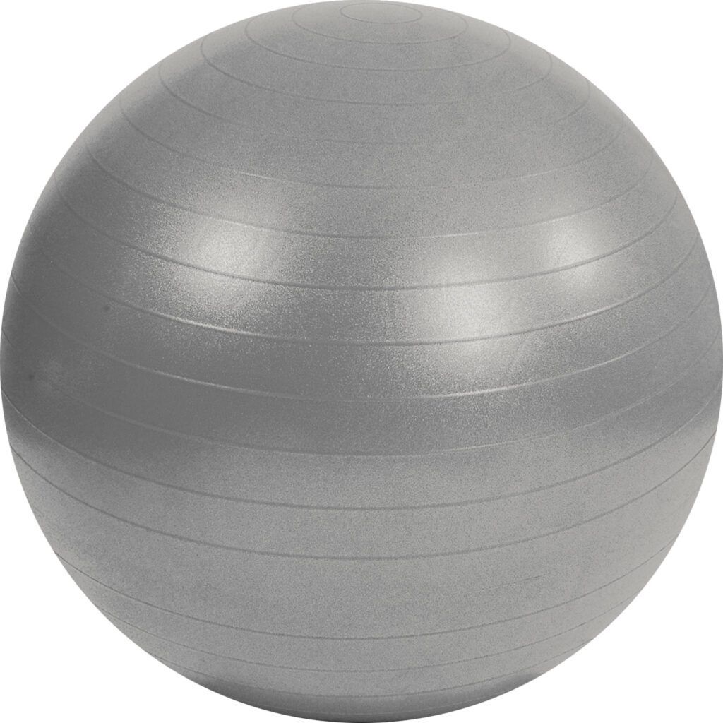 Mambo Max AB Gym Ball 95cm Silver _MED1285
