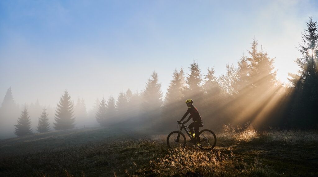 Male cyclist riding bicycle in the morning.